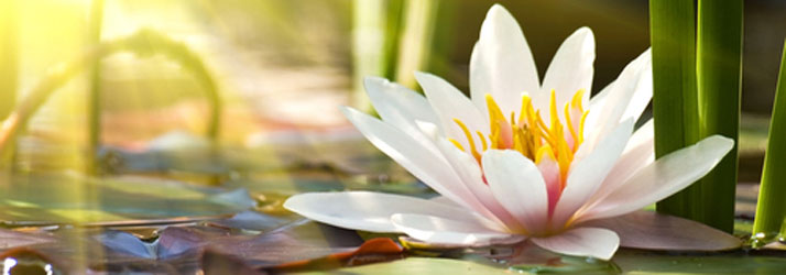 Habit Challenge in Buellton: Proper Breathing