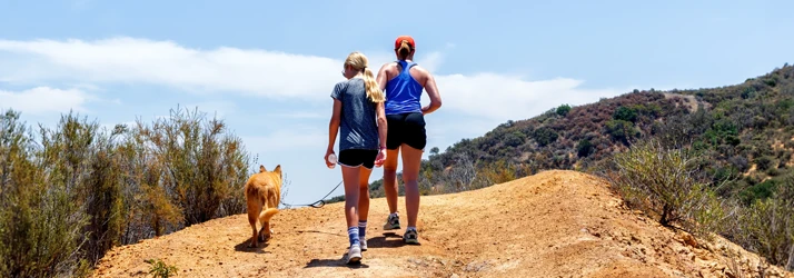Neary Chiropractic in Santa Ynez CA